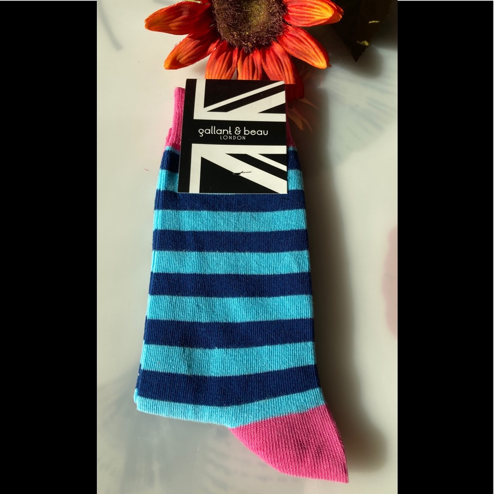 NWOT Gallant & Beau Dandy Blue Socks